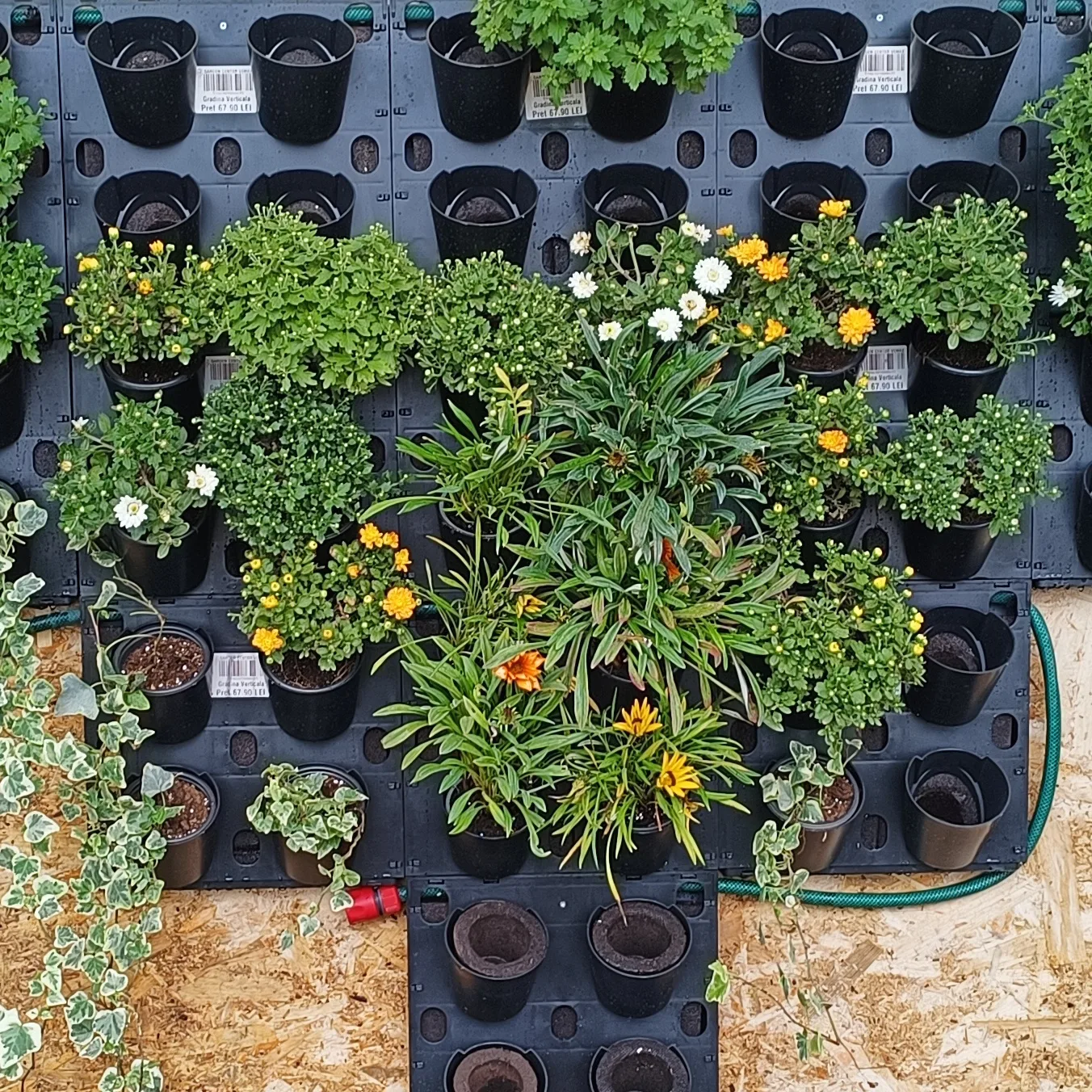 Ghiveci grădină verticală - Set 4 bucăți - imagine 1