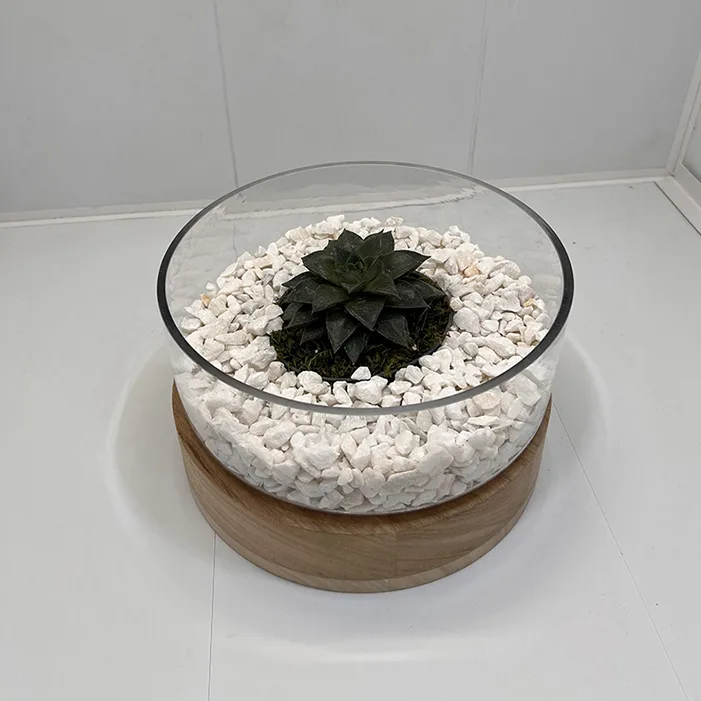 Aranjament floral cu plantă suculentă. (AR-1) - imagine 1