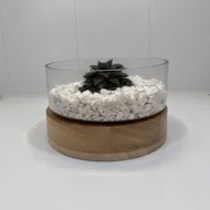 Aranjament floral cu plantă suculentă. (AR-1) - imagine 2