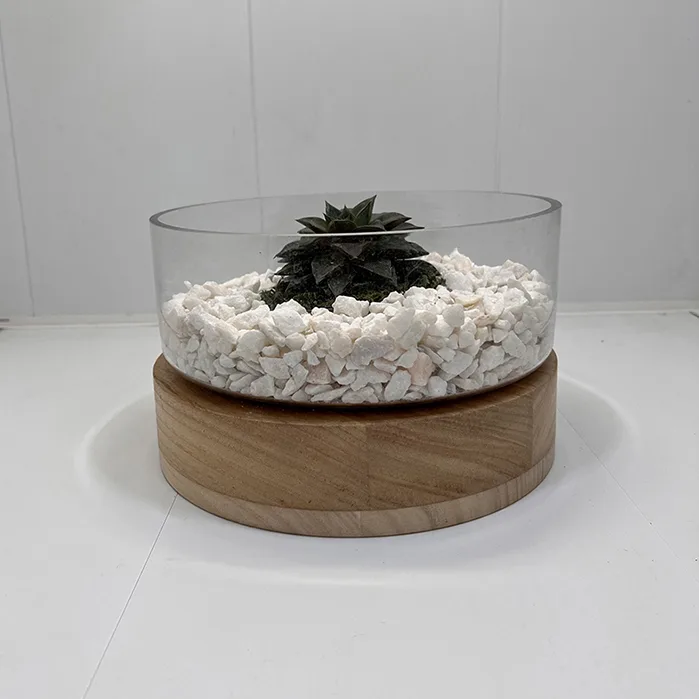 Aranjament floral cu plantă suculentă. (AR-1) - imagine 2