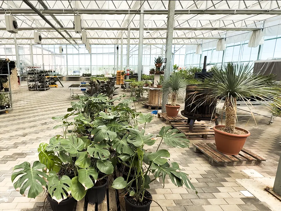 Contact Garden Center Vemax
