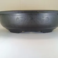 Ghiveci bonsai plastic oval (38 x 30 x 9 cm) - imagine 3