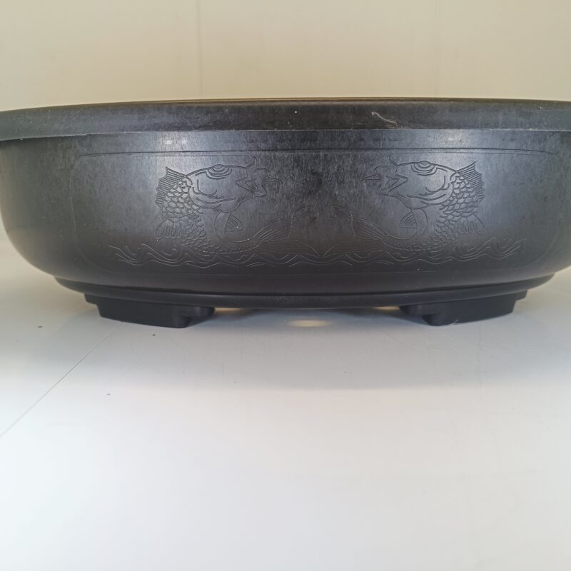 Ghiveci bonsai plastic oval (38 x 30 x 9 cm) - imagine 3