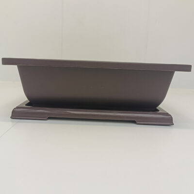 Ghiveci bonsai plastic rectangular cu farfurie (25,5 x 19 x 9 cm)