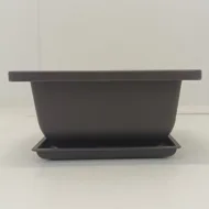 Ghiveci bonsai plastic rectangular cu farfurie (12 x 12 x 6 cm)
