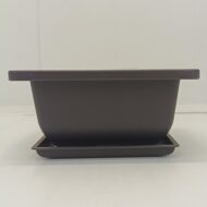 Ghiveci bonsai plastic rectangular cu farfurie (12 x 12 x 6 cm)