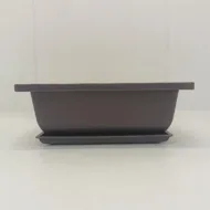 Ghiveci bonsai plastic rectangular cu farfurie (12,2 x 16,5 x 6 cm)