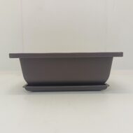 Ghiveci bonsai plastic rectangular cu farfurie (12,2 x 16,5 x 6 cm)
