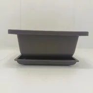 Ghiveci bonsai plastic rectangular cu farfurie (16,7 x 16,7 x 8 cm)