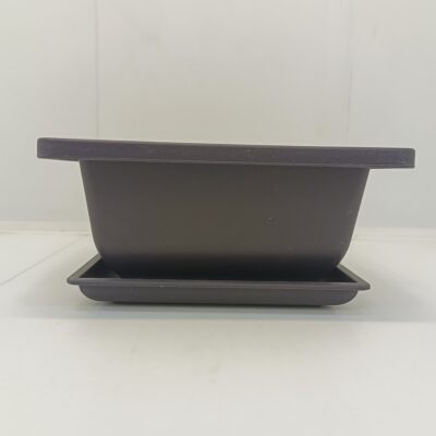 Ghiveci bonsai plastic rectangular cu farfurie (16,7 x 16,7 x 8 cm)