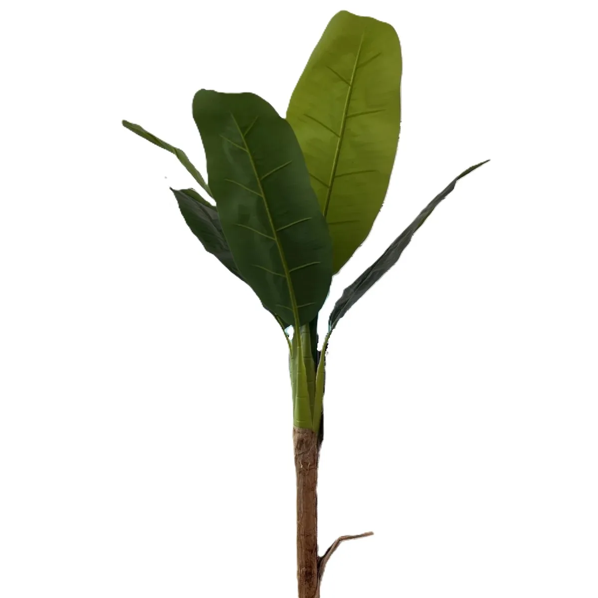 IMG_8330-1-1200x1200-jpeg Bananier artificial, 184 cm - imagine 1