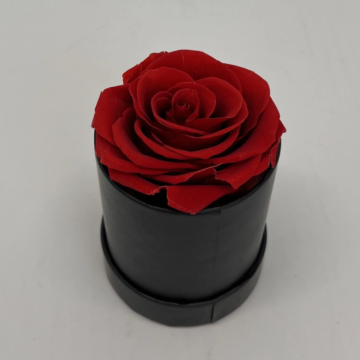 Trandafir criogenat in cutie rotunda - imagine 1
