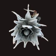 Floare artificiala decor - imagine 4