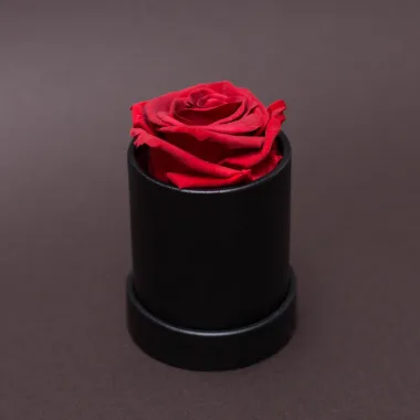 Trandafir criogenat in cutie rotunda - imagine 1