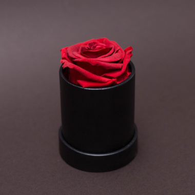 Trandafir criogenat in cutie rotunda