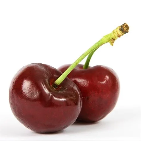 Cireș Ferrovia (Prunus avium ‘Ferrovia’) - imagine 1