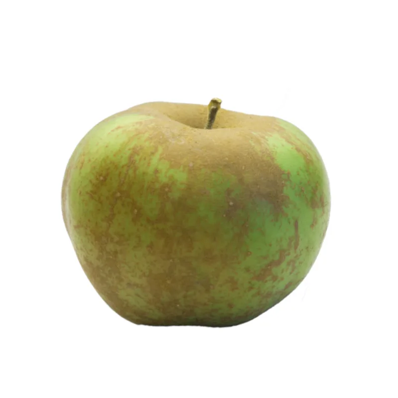 Măr Renet - imagine 1